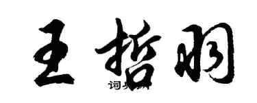 胡问遂王哲羽行书个性签名怎么写