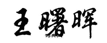 胡问遂王曙晖行书个性签名怎么写