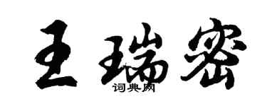 胡问遂王瑞密行书个性签名怎么写