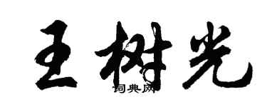 胡问遂王树光行书个性签名怎么写