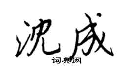 王正良沈成行书个性签名怎么写