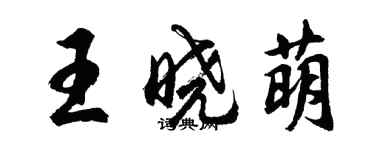 胡问遂王晓萌行书个性签名怎么写
