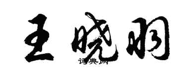 胡问遂王晓羽行书个性签名怎么写