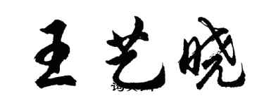 胡问遂王艺晓行书个性签名怎么写