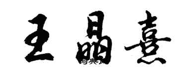 胡问遂王晶熹行书个性签名怎么写