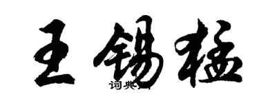 胡问遂王锡猛行书个性签名怎么写