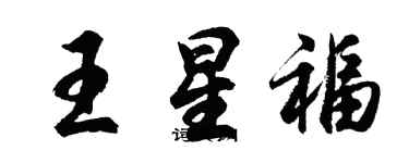 胡问遂王星福行书个性签名怎么写