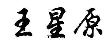 胡问遂王星原行书个性签名怎么写