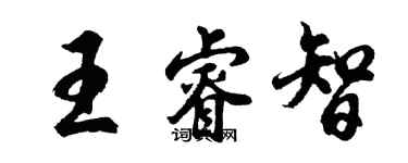 胡问遂王睿智行书个性签名怎么写