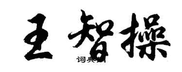 胡问遂王智操行书个性签名怎么写