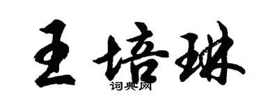 胡问遂王培琳行书个性签名怎么写