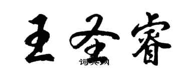 胡问遂王圣睿行书个性签名怎么写