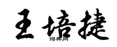 胡问遂王培捷行书个性签名怎么写