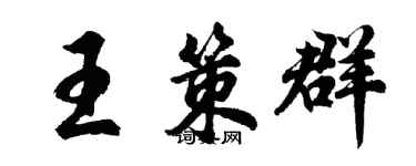 胡问遂王策群行书个性签名怎么写