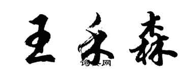 胡问遂王禾森行书个性签名怎么写