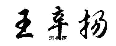 胡问遂王辛扬行书个性签名怎么写