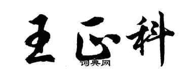 胡问遂王正科行书个性签名怎么写