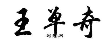 胡问遂王单奇行书个性签名怎么写
