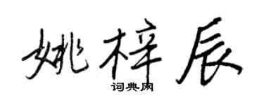 王正良姚梓辰行书个性签名怎么写