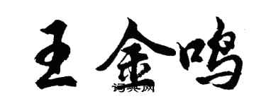 胡问遂王金鸣行书个性签名怎么写