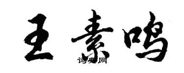 胡问遂王素鸣行书个性签名怎么写