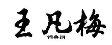 胡问遂王凡梅行书个性签名怎么写