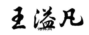 胡问遂王溢凡行书个性签名怎么写