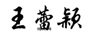 胡问遂王蕾颖行书个性签名怎么写