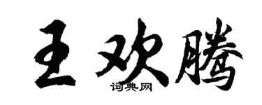 胡问遂王欢腾行书个性签名怎么写