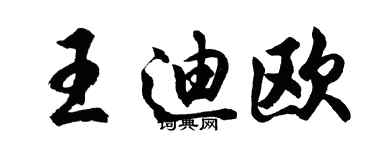 胡问遂王迪欧行书个性签名怎么写
