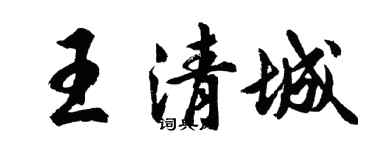 胡问遂王清城行书个性签名怎么写