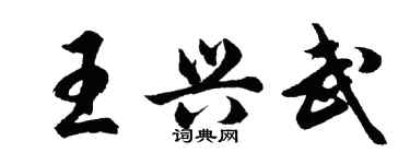 胡问遂王兴武行书个性签名怎么写
