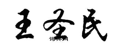 胡问遂王圣民行书个性签名怎么写