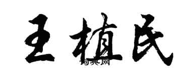 胡问遂王植民行书个性签名怎么写