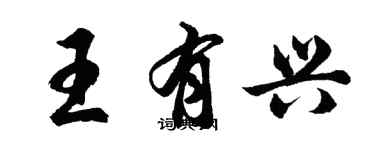 胡问遂王有兴行书个性签名怎么写