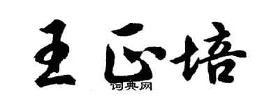 胡问遂王正培行书个性签名怎么写