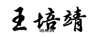 胡问遂王培靖行书个性签名怎么写