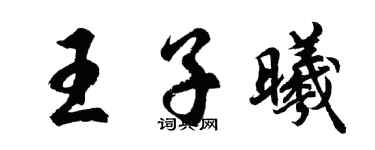 胡问遂王子曦行书个性签名怎么写