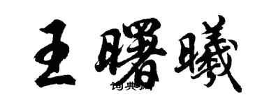 胡问遂王曙曦行书个性签名怎么写