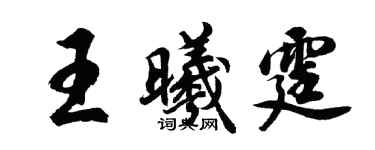 胡问遂王曦霆行书个性签名怎么写