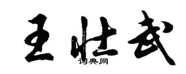 胡问遂王壮武行书个性签名怎么写