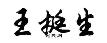 胡问遂王挺生行书个性签名怎么写