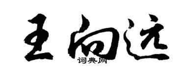 胡问遂王向远行书个性签名怎么写