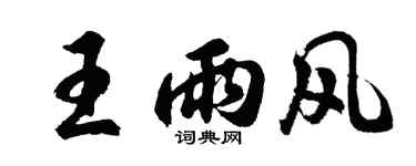 胡问遂王雨风行书个性签名怎么写