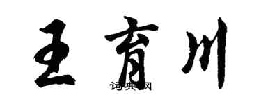 胡问遂王育川行书个性签名怎么写