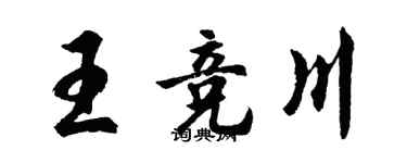 胡问遂王竞川行书个性签名怎么写