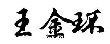胡问遂王金环行书个性签名怎么写