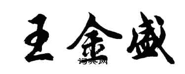 胡问遂王金盛行书个性签名怎么写