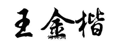 胡问遂王金楷行书个性签名怎么写