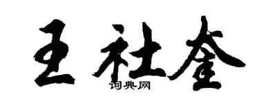 胡问遂王社奎行书个性签名怎么写